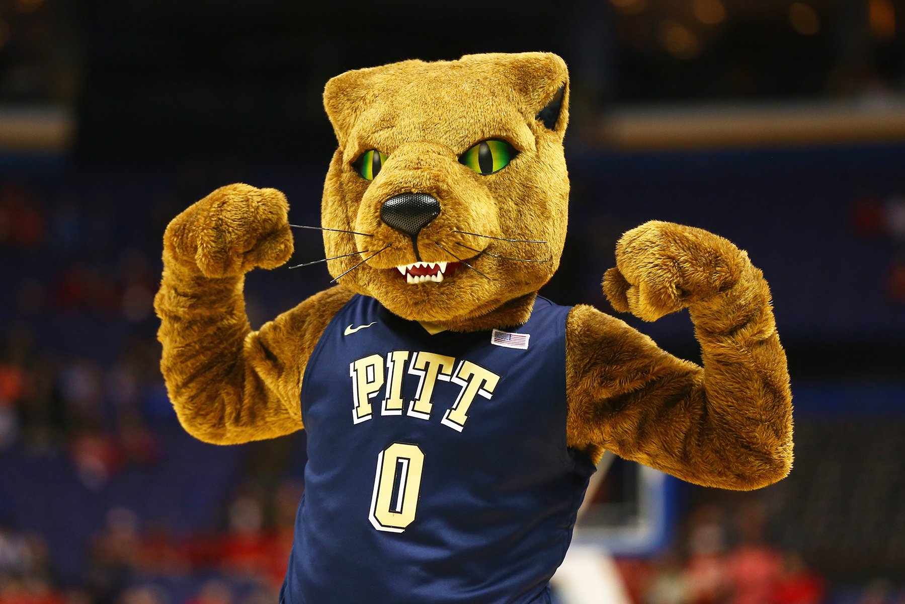 HOOPS BLOG: It's Pitt, do we really need to say anything else?
